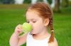 Apotheke - BronchiCare Herbal Tea Gyermekeknek, 20 filter
