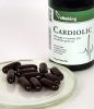 Vitaking Cardiolic Omega-3 + Q10 + fokhagyma + L-karnitin egyben! 60db gélkapszula