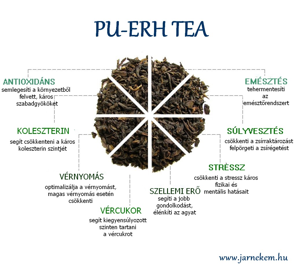Mi az a pu-erh tea? Miért ajánlott diétáknál is?